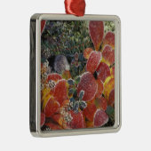 NA, VS, Alaska. Nationaal Park Denali. Bearberry 2 Metalen Ornament (Rechts)