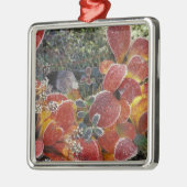 NA, VS, Alaska. Nationaal Park Denali. Bearberry 2 Metalen Ornament (Links)