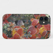 NA, VS, Alaska. Nationaal park Denali. Berenbes 2 Case-Mate iPhone Case (Achterkant (horizontaal))