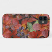NA, VS, Alaska. Nationaal park Denali. Berendruif Case-Mate iPhone Case (Achterkant (horizontaal))