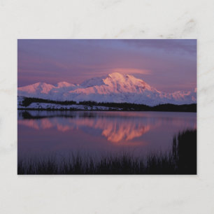 NA, VS, Alaska. Nationaal park Denali. Mt Briefkaart