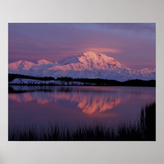 NA, VS, Alaska. Nationaal park Denali. Poster (Voorkant)