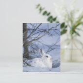 NA, VS, Alaska. Nationaal Wildleven in het noordpo Briefkaart (Staand voorkant)