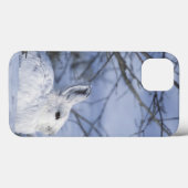 NA, VS, Alaska. Nationaal Wildleven in het noordpo Case-Mate iPhone Case (Achterkant (horizontaal))