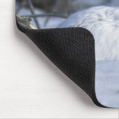 NA, VS, Alaska. Nationaal Wildleven in het noordpo Muismat (Hoek)