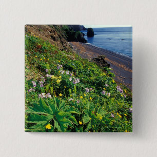NA, VS, Alaska, Semidi-eilanden, Wilde bloemen Vierkante Button 5,1 Cm
