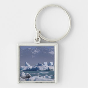 NA, VS, Alaska, St. Elias-gebergte, Alsek-rivier, Sleutelhanger