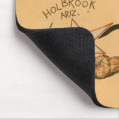 NA, VS, Arizona, Holbrook Route 66 road mural Muismat (Hoek)