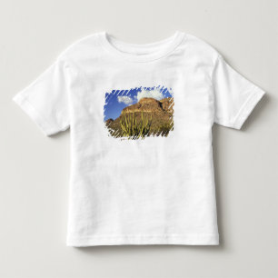 NA, VS, Arizona. Nationaal park Organ Pipe Cactus  Kinder Shirts
