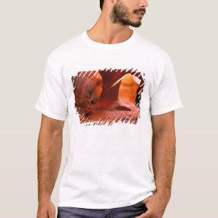 NA, VS, Arizona, Paria Canyon. Zandsteen T-shirt