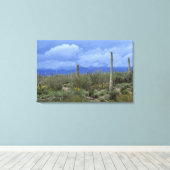 NA, VS, Arizona, Saguaro National Monument, Canvas Afdruk (Insitu (Houten vloer))