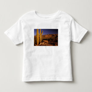 NA, VS, Arizona, Saguaro National Monument, Kinder Shirts