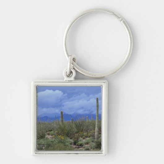 NA, VS, Arizona, Saguaro National Monument, Sleutelhanger (Voorkant)