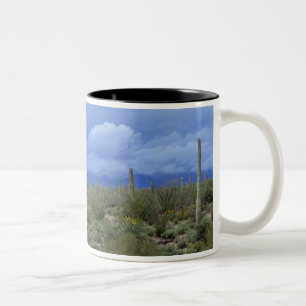 NA, VS, Arizona, Saguaro National Monument, Tweekleurige Koffiemok