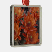 NA, VS, Arizona, San Xavier. Claret Cup cactus Metalen Ornament (Rechts)