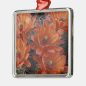 NA, VS, Arizona, San Xavier. Claret Cup cactus Metalen Ornament (Links)