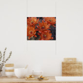 NA, VS, Arizona, San Xavier. Claret Cup cactus Poster (Keuken)