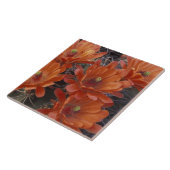 NA, VS, Arizona, San Xavier. Claret Cup cactus Tegeltje (Zijkant)