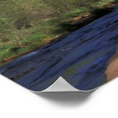 NA, VS, Arizona, Sedona. Cathedral Rock en Oak Poster (Hoek)