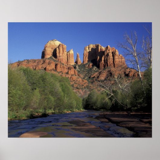 NA, VS, Arizona, Sedona. Cathedral Rock en Oak Poster (Voorkant)