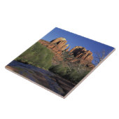 NA, VS, Arizona, Sedona. Cathedral Rock en Oak Tegeltje (Zijkant)