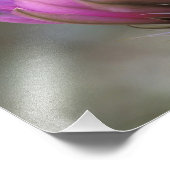 NA, VS, Arizona, Sonoran Desert. Egel Foto Afdruk (Hoek)