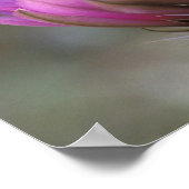 NA, VS, Arizona, Sonoran Desert. Egel Poster (Hoek)