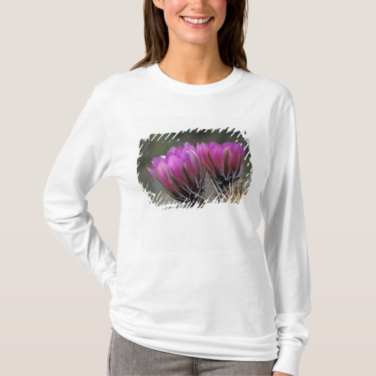 NA, VS, Arizona, Sonorawoestijn. Egel T-shirt (Voorkant)