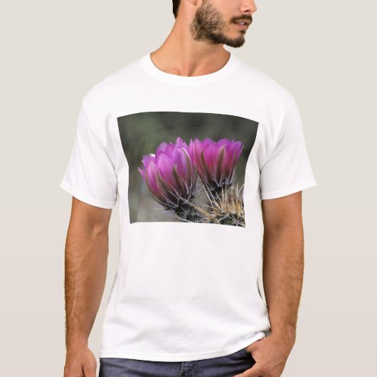 NA, VS, Arizona, Sonorawoestijn. Egel T-shirt (Voorkant)