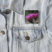 NA, VS, Arizona, Sonorawoestijn. Egel Vierkante Button 5,1 Cm (In situ)