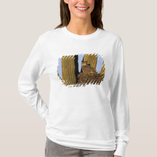 NA, VS, Arizona, Tucson. Grote uil T-shirt