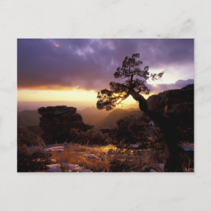 NA, VS, Arizona, Tucson, Zonsondergang en eenzame Briefkaart