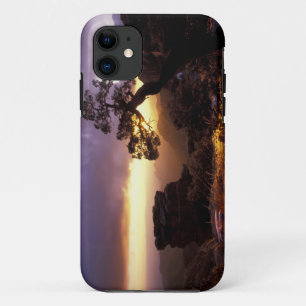 NA, VS, Arizona, Tucson, Zonsondergang en eenzame iPhone 11 Hoesje