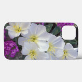 NA, VS, Californië, Anza Borrego Desert State Case-Mate iPhone Case (Achterkant (horizontaal))