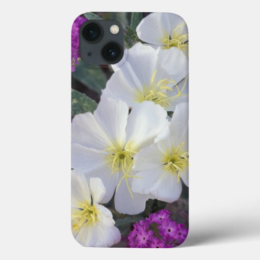 NA, VS, Californië, Anza Borrego Desert State Case-Mate iPhone Case (Achterkant)