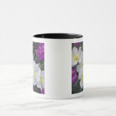 NA, VS, Californië, Anza Borrego woestijnstaat Mok (Midden)