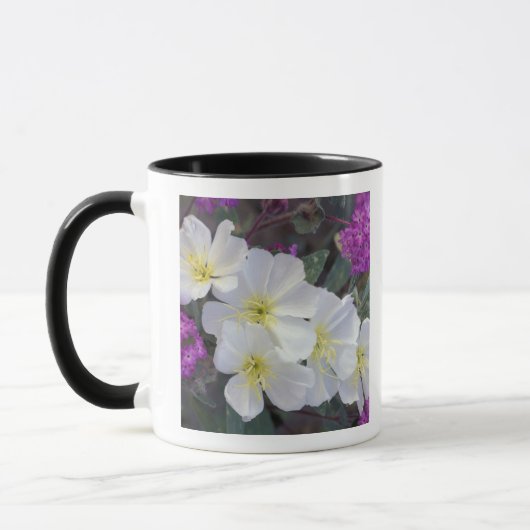 NA, VS, Californië, Anza Borrego woestijnstaat Mok (Links)