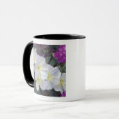 NA, VS, Californië, Anza Borrego woestijnstaat Mok (Voorkant links)