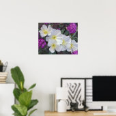 NA, VS, Californië, Anza Borrego woestijnstaat Poster (Thuiskantoor)