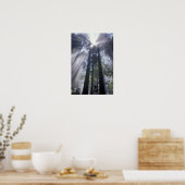 NA, VS, Californië. Deelstaat Del Norte Poster (Keuken)