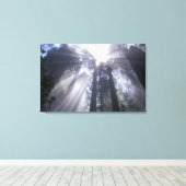 NA, VS, Californië. Deelstaat voor de noordkust 2 Canvas Afdruk (Insitu (Houten vloer))