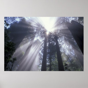NA, VS, Californië. Del Norte Coast State 2 Poster