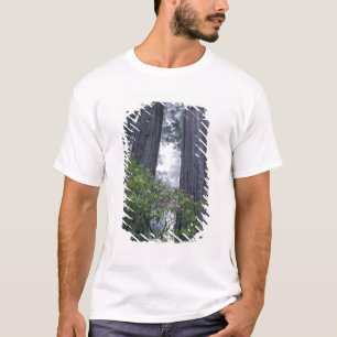 NA, VS, Californië. Del Norte Coast State Park. 2 T-shirt