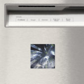 NA, VS, Californië, Del Norte Redwood State Magneet (Insitu (Vaatwasser))