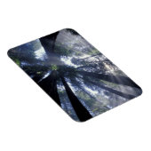 NA, VS, Californië, Del Norte Redwood State Magneet (Rechterzijde)