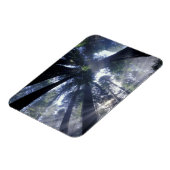 NA, VS, Californië, Del Norte Redwood State Magneet (Linkerzijde)