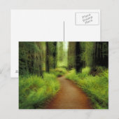 NA, VS, Californië, Jedediah Smith Redwood Briefkaart (Voorkant / Achterkant)