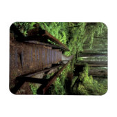 NA, VS, Californië, Jedidiah Smith Redwood Magneet (Horizontaal)