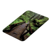 NA, VS, Californië, Jedidiah Smith Redwood Magneet (Linkerzijde)