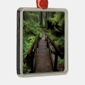 NA, VS, Californië, Jedidiah Smith Redwood Metalen Ornament (Rechts)